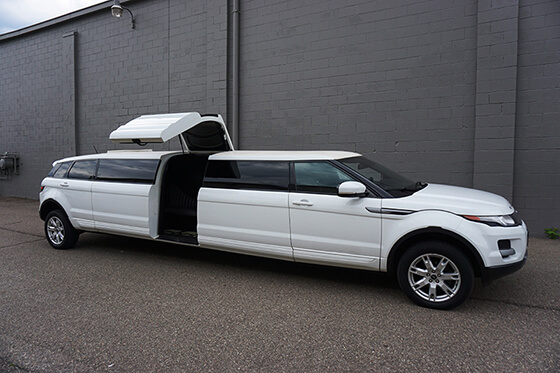 Buffalo stretch limos