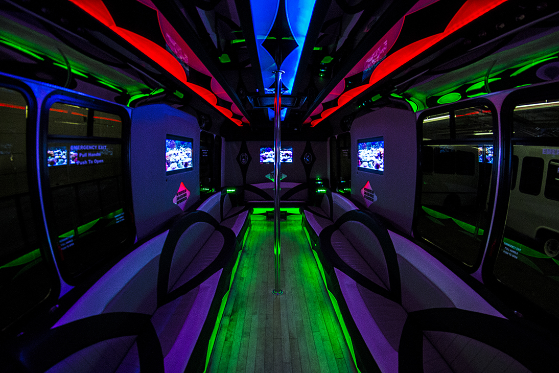 24-passenger party bus rental